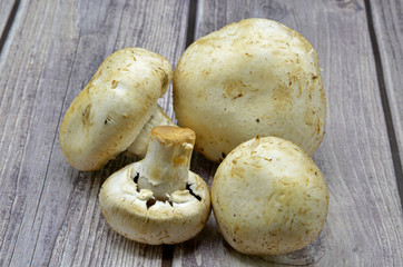 mushrooms on wooden background