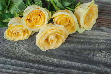 Yellow roses on the old wooden boards