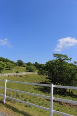 Fototapeta na wymiar 初夏の横根高原（ロッジから象の鼻への遊歩道）