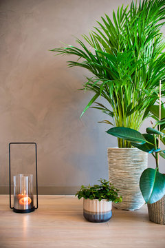 Interior plant design