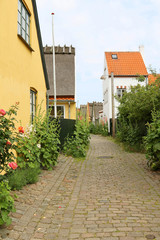 Fototapeta na wymiar Narrow cobbled street with yellow-painted houses. Traditional Danish style. Old city Dragor, around Copenhagen, Denmark.
