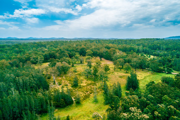 Fototapeta na wymiar Aerial landscape of native Australian forest. Collombatti, New South Wales, Australia