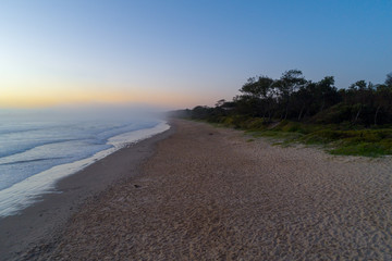 Empty ocean beach and coastal vegetation and dusk