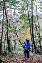 Naklejka na ściany i meble Hiker - man hiking in forest