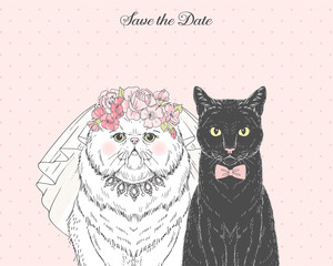 White persian cat bride in wedding veil and floral diadem and black cat groom in bow tie. Vector hand drawn animal illustration for save the date wedding party design.