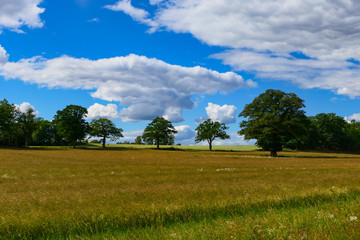 Dåderö, Sweden Landscape with field, trees and clouds.