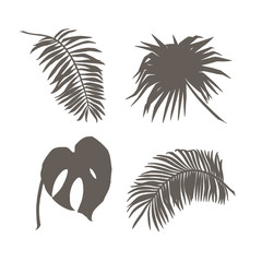 Tropical leaves collection. Palm leaves. Graphic illustration.