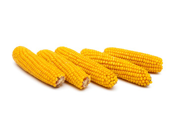 cobs of corn on a white background