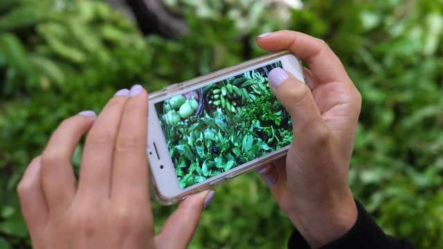 Close-Up Of Female Hands Taking Picture Of Healthy Green Food Using Cell Phone In Supermarket