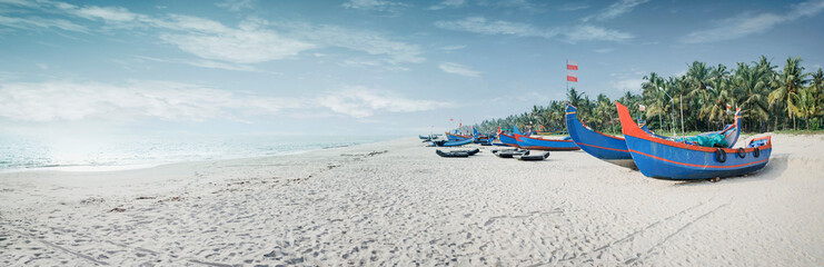Fishing boats on the beach, South India - 253489955