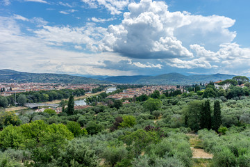 Fototapeta na wymiar Italy,Florence, a view of a lush green hillside