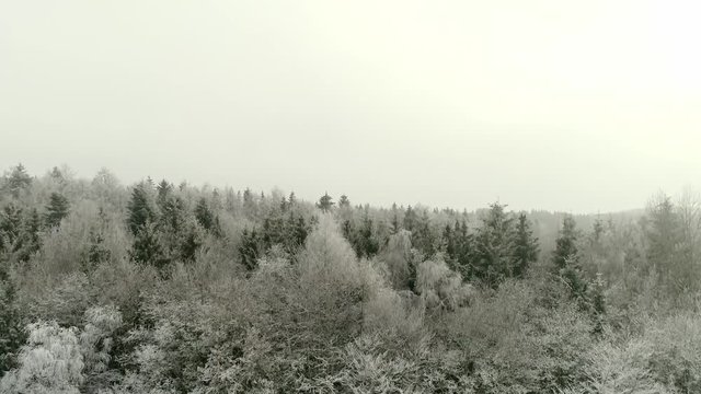 Drone shot revealing a frosty forest with trees covered in snow and ice. Flying up to reveal the forest. Winter season in south Germany.