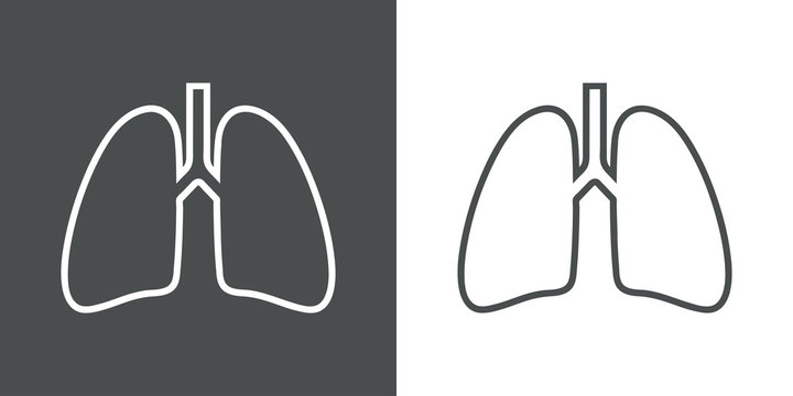 Icono plano lineal pulmones en gris y blanco