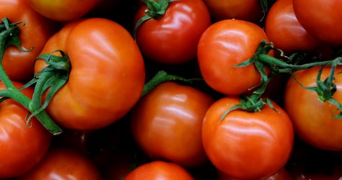 fresh Red tomatoes in stall at supermarket