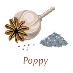 Vector poppy head with seeds isolated on white background. Illustration in simple flat style.