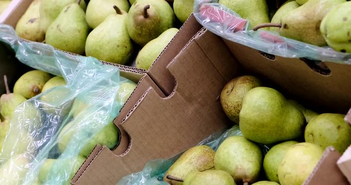 Autumn harvest of pears close up