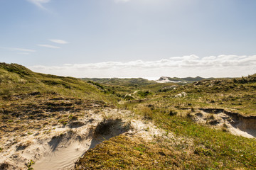Green dunes in the Netherlands at the North Sea