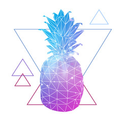 Abstract polygonal tirangle fruit pineapple with open space background inside. Hipster illustration.