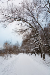 Scenic road in the winter park.
