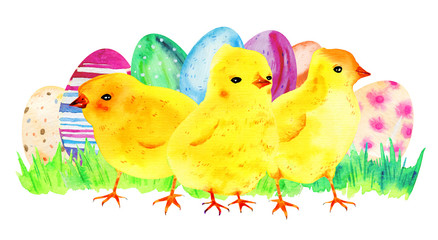 Yellow baby chickens with painted easter eggs and grass. Hand drawn watercolor cartoon sketch illustration