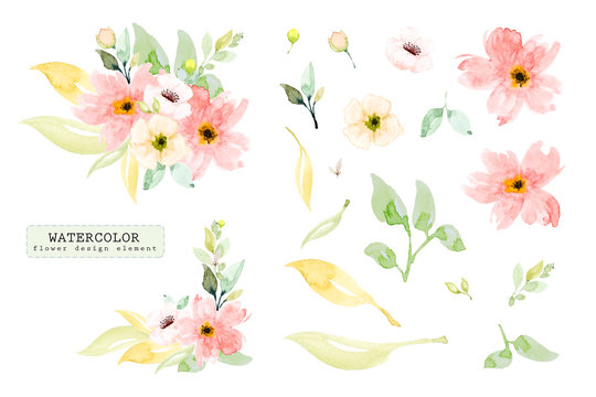 Set of watercolor design elements, hand painted flower branch.