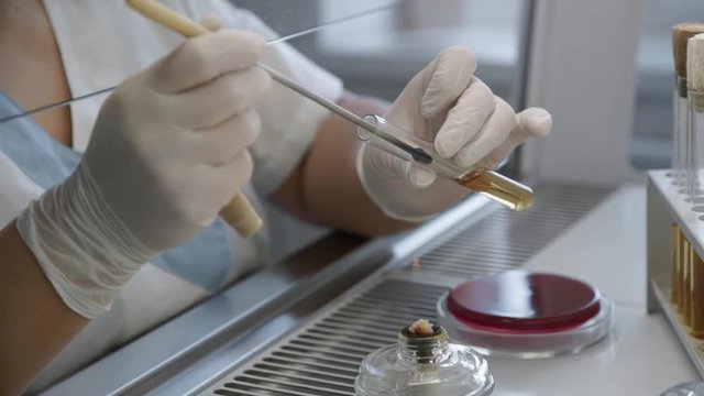 Medical researcher work in biological research lab. Clinical researches. Medical lab technician working in chemical laboratory. Female scientist