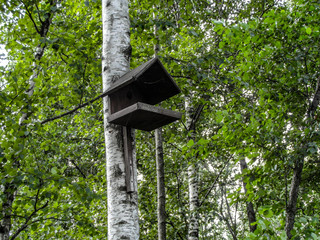 birdhouse on tree