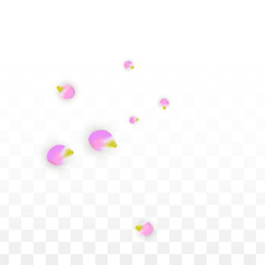 Vector Realistic Pink Petals Falling on Transparent Background.  Spring Romantic Flowers Illustration. Flying Petals. Sakura Spa Design. Blossom Confetti.