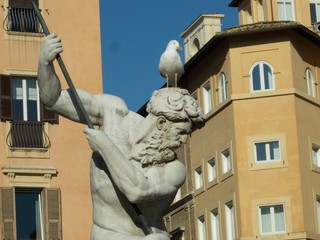   Fontana del Nettuno i pozująca gabbiano. Roma © Jola i Darek 