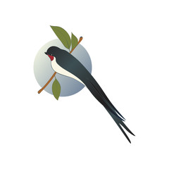 Martlet sitting on branch with green leaves, blue sky background behind. Bird with long forked tail. Flat vector icon