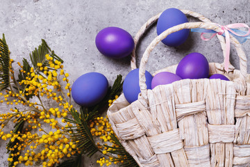 Easter eggs decorated in different colors with a branch of mimosa on the table, top view
