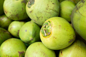 coconut fruit stacked on the marketplace