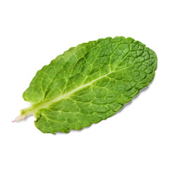 Closeup mint leaf on white isolated background. View from above.