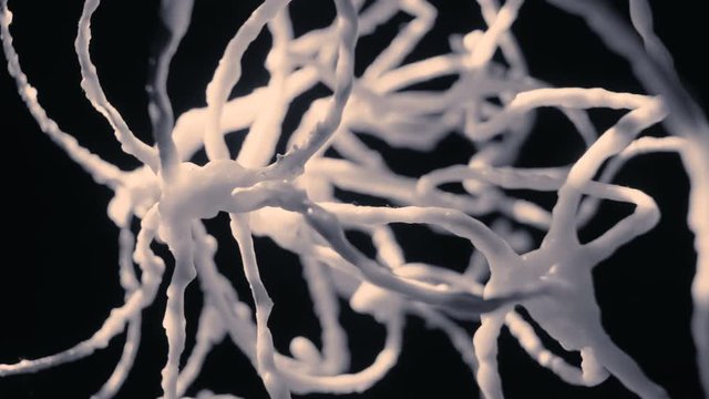 Neuron network flashing communicating