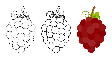 Grape to be colored and trace line educational game for kids