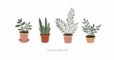 Fotobehang Set of indoor plants in flower pots. Home green plants of various shapes. Scandinavian style illustration, home decor. Vector illustration on white isolated background. © KOSIM