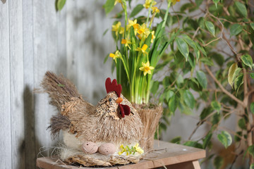 Easter decorations in a photo studio in a rustic style. Toy chicken and eggs on the background of daffodils