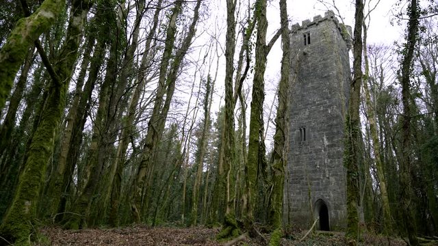 An old watch tower in the middle of the forest in Cong, Mayo, Ireland.