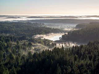 Misty forest and lake form aerial view with horizon