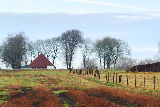 Farm house, field and trees at winter. Westerland, Hollands Kroon, Netherlands.