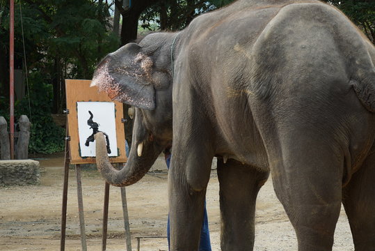 painting elephant