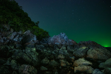coral reef with tropical fish