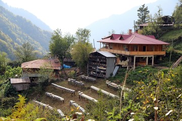 organic honey farm.macahel/artvin