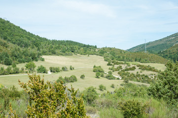 Fototapeta na wymiar Busch und Wald in karger Landschaft.