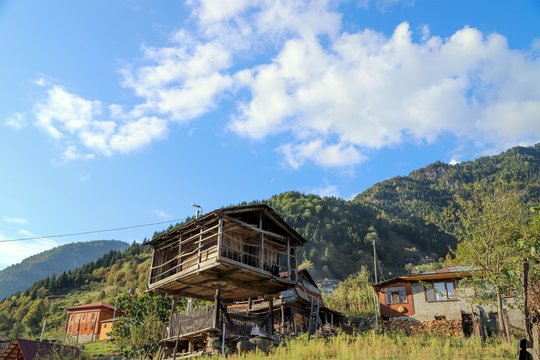 old village houses in the forest.artvin /macahel 