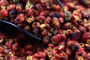 Chinese prickly ash on a white background