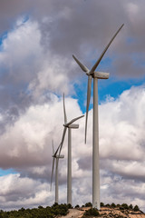 Field of wind generators