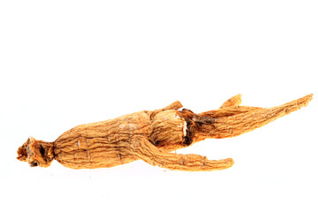 Ginseng on a white background
