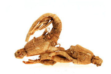 Ginseng on a white background