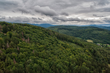 Fototapeta na wymiar górski widok las